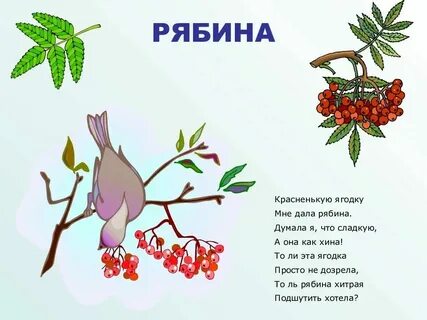 Стихи про дерево короткие