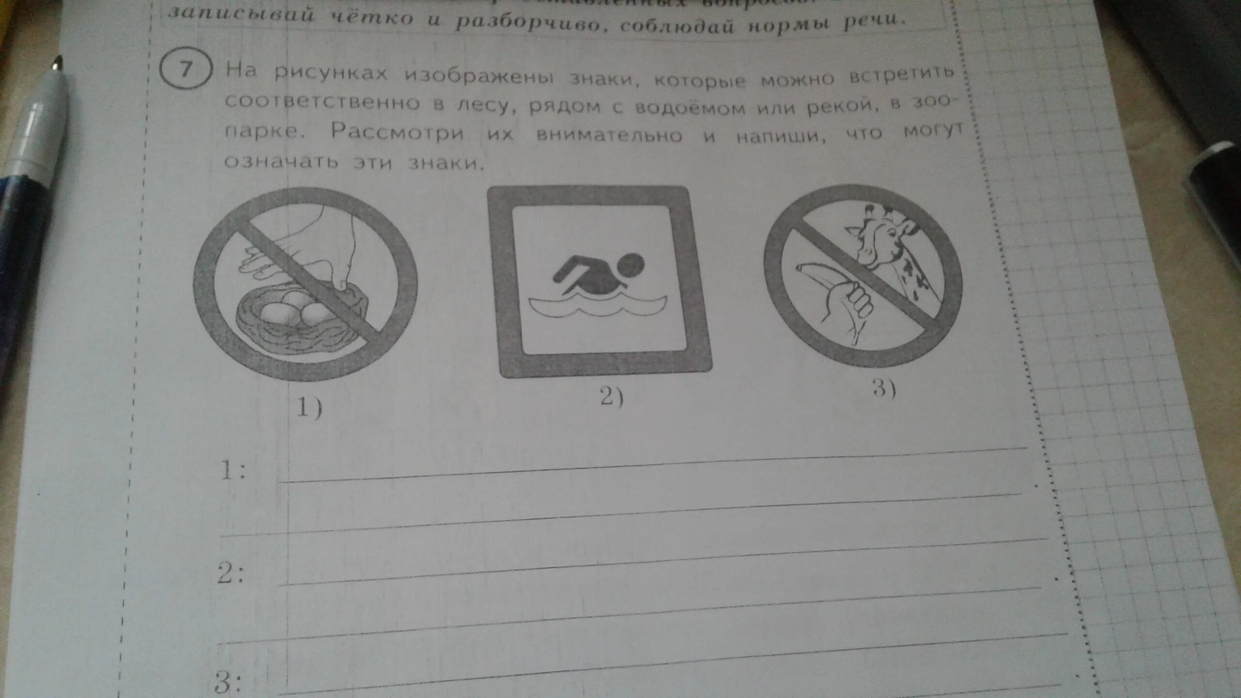 Прогулка в парке впр 4 класс