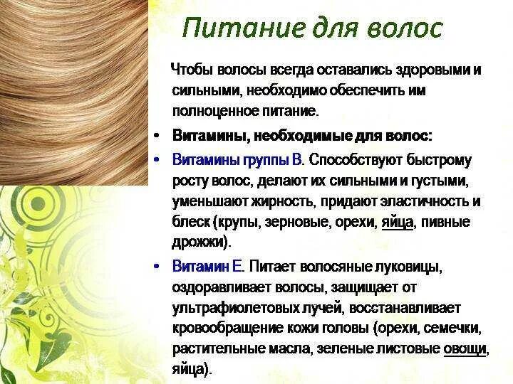 Витамины необходимые для волос. Питание волос. Питание для роста волос. Продукты для роста волос на голове. Ломаются волосы какие витамины