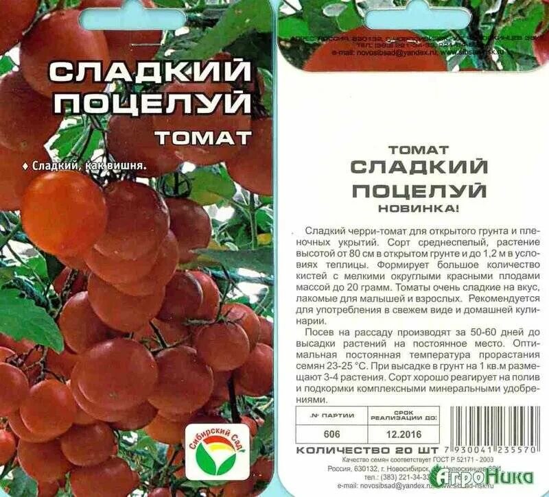 Томат сладкий поцелуй Сибирский сад. Томат "сладкий мясистый Западной Вирджинии". Томат черри сладкий поцелуй. Томат,, Сибирский поцелуй,,. Томаты черри сорта урожайность