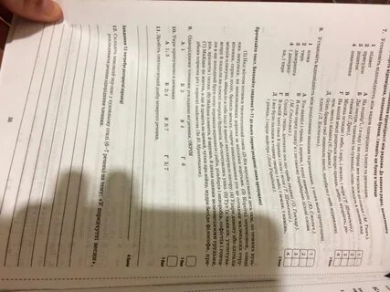 Тест на украинский язык