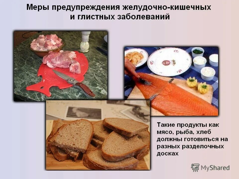 возбудители и переносчики желудочно кишечных заболеваний. возбудители и переносчики желудочно кишечных заболеваний. дизентерия источники и пути заражения. основные симптомы кишечных инфекций. возбудители кишечных инфекций-дизентерия.