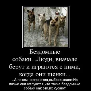 Одних не берут даже