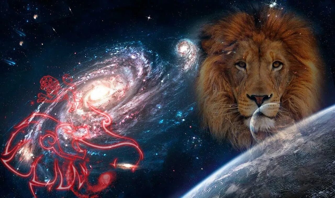 Мужчина лев. Знак зодиака Лев. Врата Льва 2022. Звездный Лев. Знак зодиака Лев фото.