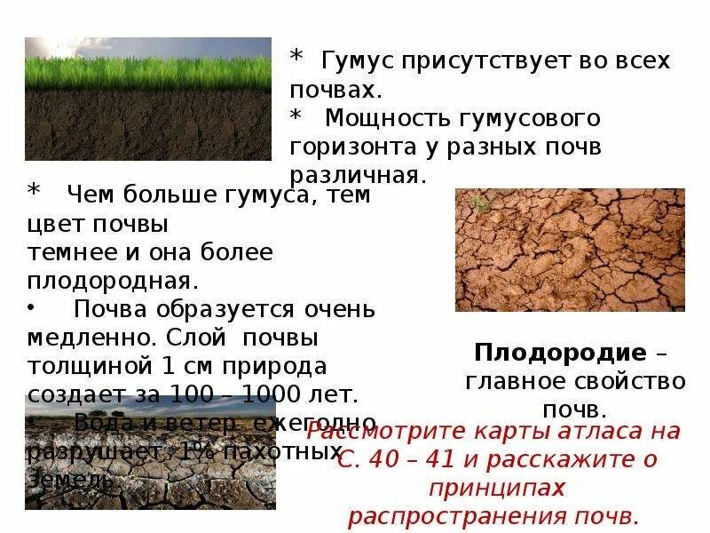 Почва. Гумус почвы. Гумусовый слой почвы. Гумусный слой почвы это. Наиболее плодородными почвами являются чернозем