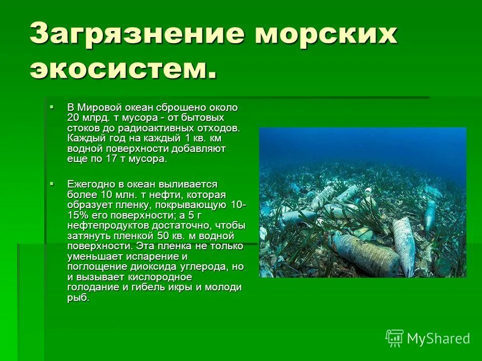 15 цель устойчивого развития оон. Загрязнение морских экосистем. Проблема сохранения экосистем. Пути сохранения биоразнообразия. Антропогенная трансформация природных экосистем.
