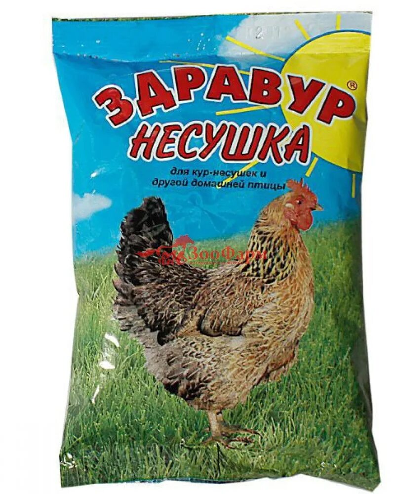 Несушка купить оптом