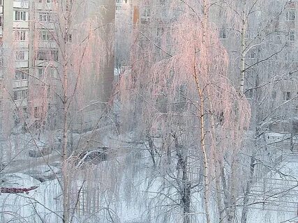 Наблюдение за инеем