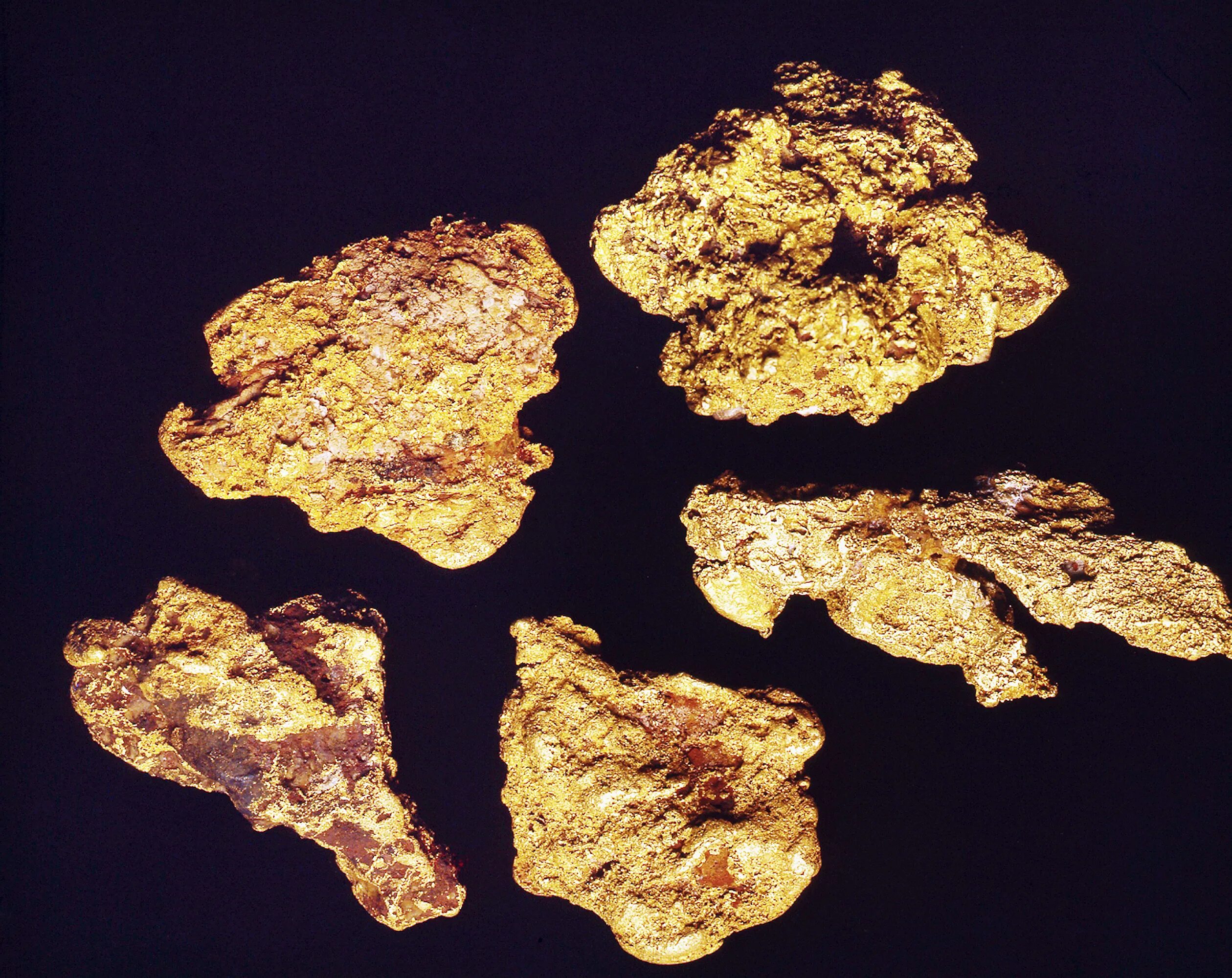 Самородок золота. Gold Nugget. Интересные факты о золоте. Ель Голд Наггет (Gold Nugget).