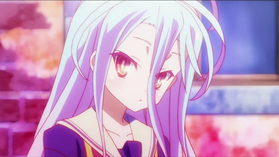 Широ нет игры. Широ най. shiro ngnl. no game no life широ. сиро и широ.