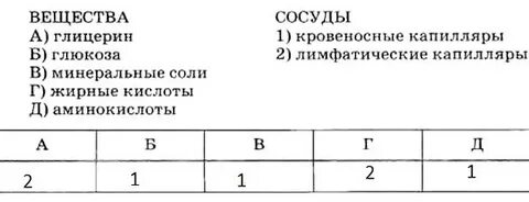 Установите последовательность биологических процессов
