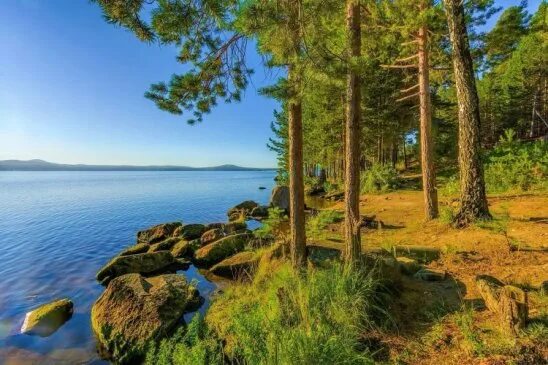 On the shores of the Laptev Sea, Taimyr, the Far North. #красотыРоссии Сербия Го