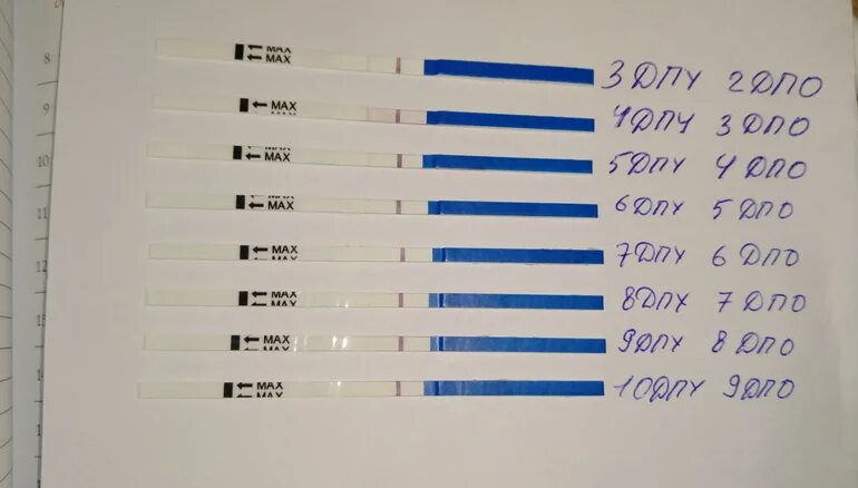 10 ДПУ 9 ДПО. Тесты после укола ХГЧ. Тест на 10 ДПО после укола ХГЧ 10000. Тесты после укола Овитрель.