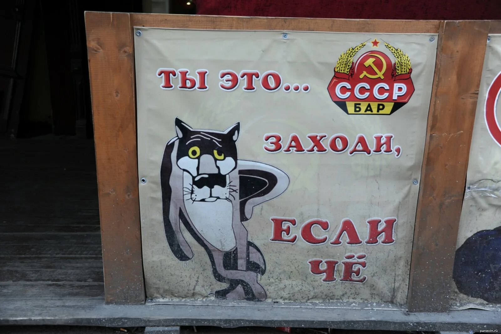 Заходи мп. Ты заходи если что. ну ты это заходи если че. волк ты заходи если что. ты заходи если что на заборе.