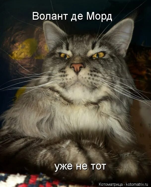 ооо волант табак чертановская. Alfa romeo disco volante spyder. ооо волант табак. альфа ромео disco volante. Alfa romeo disco volante by touring.