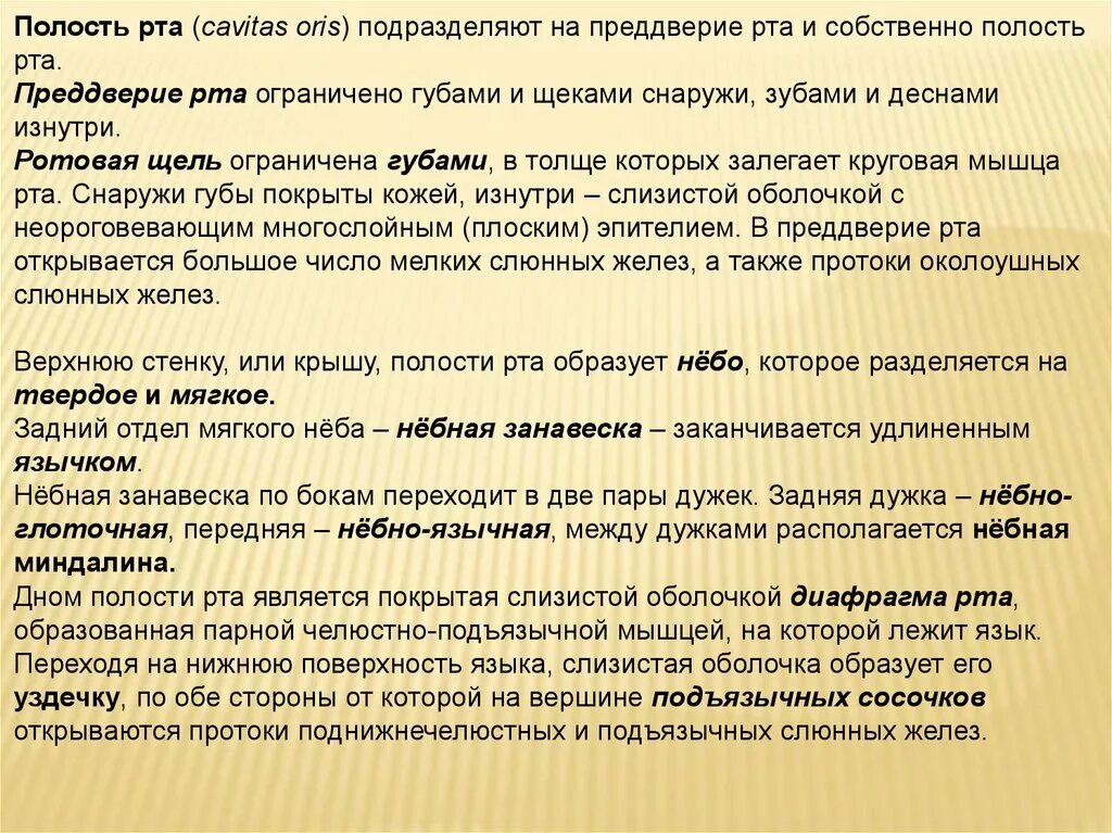 Преддверие рта норма. Преддверие рта ограничено. в собственно полость рта (cavitas oris propria) открываются:. ротовая щель ограничена.