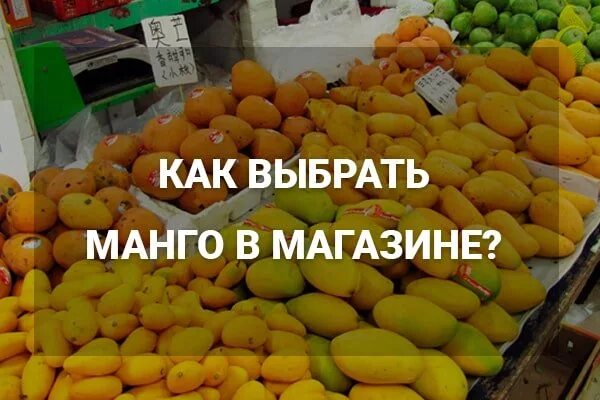 Фрукты Манго - "Как едят манго? Как выбрать спелый манго? Польза манго Моя любим