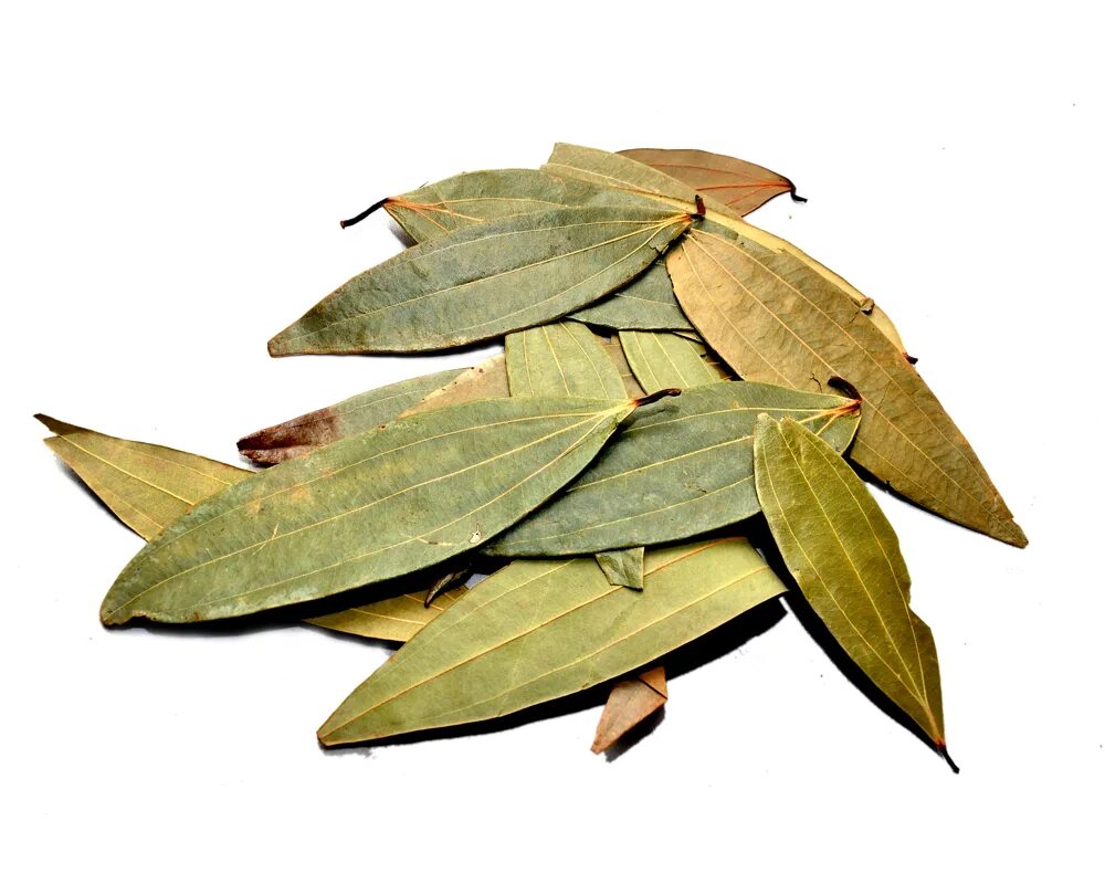 К чему снится лавровый лист. Лавровый лист. cinnamomum на белом фоне. cinnamomum tamala. лавровый лист в народной медицине.
