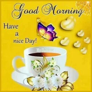 It s nice morning