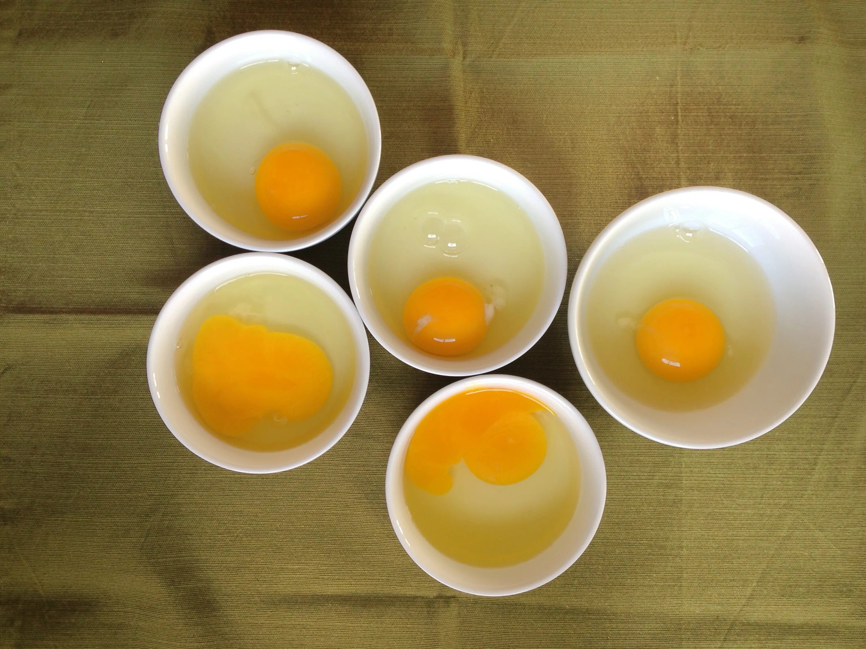 Краски на яичном желтке. Светло желтый желток в яйце. Тройной желток. Краска на основе яичного желтка. Желтки разного цвета.