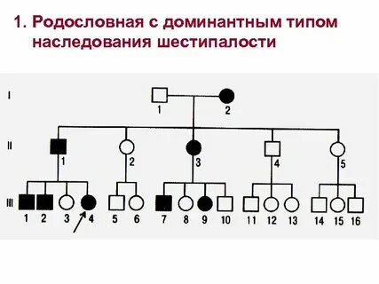 Составить схему наследования