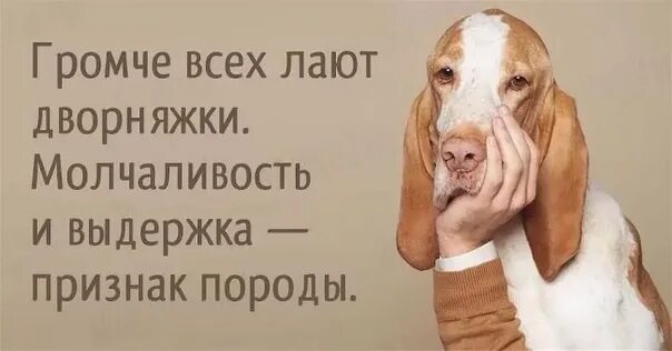 Пускай собака лает. Когда собака лает. цитата про лающую собаку. собаки лают цитаты. собака лает афоризмы.