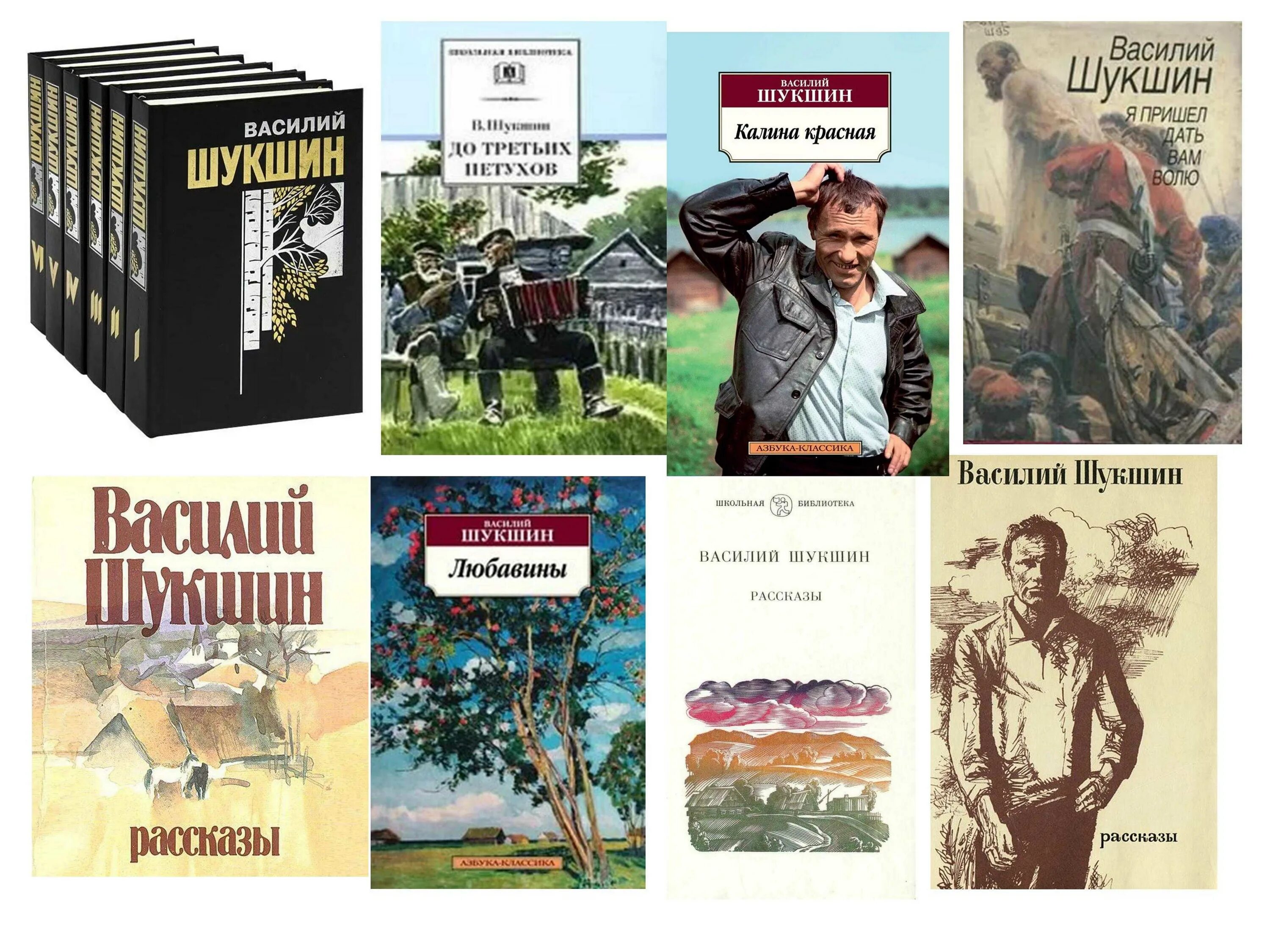 Шукшин критик читать. Шукшин критик читать