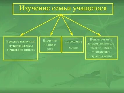 Изучение семьи в доу