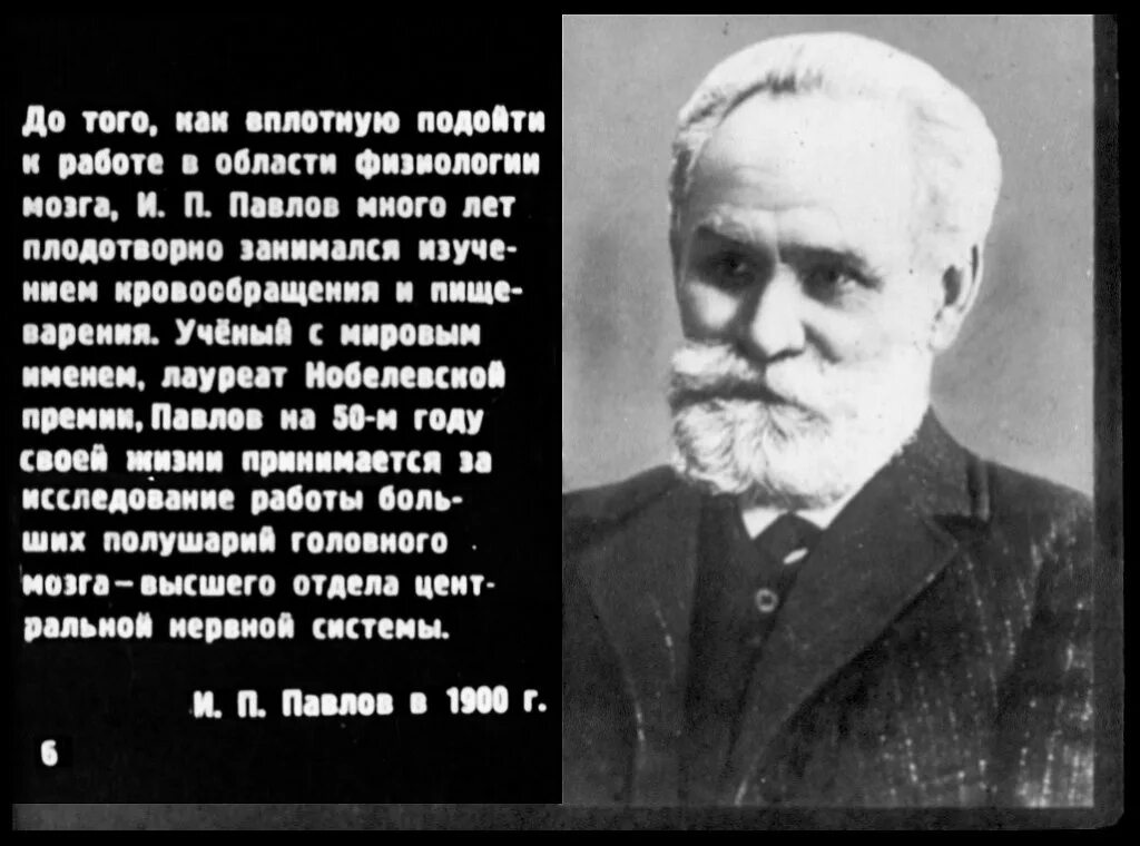 И П Павлов. Цитаты и п Павлова. Павлов о русских. Учение и.п. Павлова о высшей нервной деятельности.. Академик павлов россия