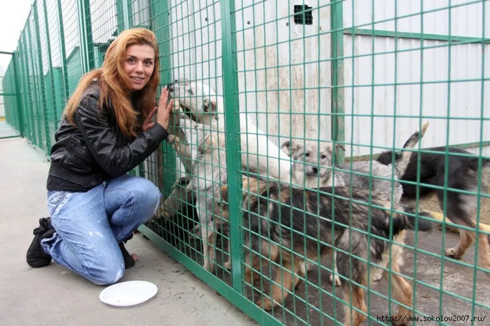 Приют проектируемый проезд. Приют проектируемый проезд. Приют проектируемый проезд. Лыбедская магистраль 1 владимир. Проектируемый проезд 3538 раменки.