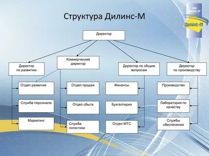 Коммерческий директор это кто и чем занимается