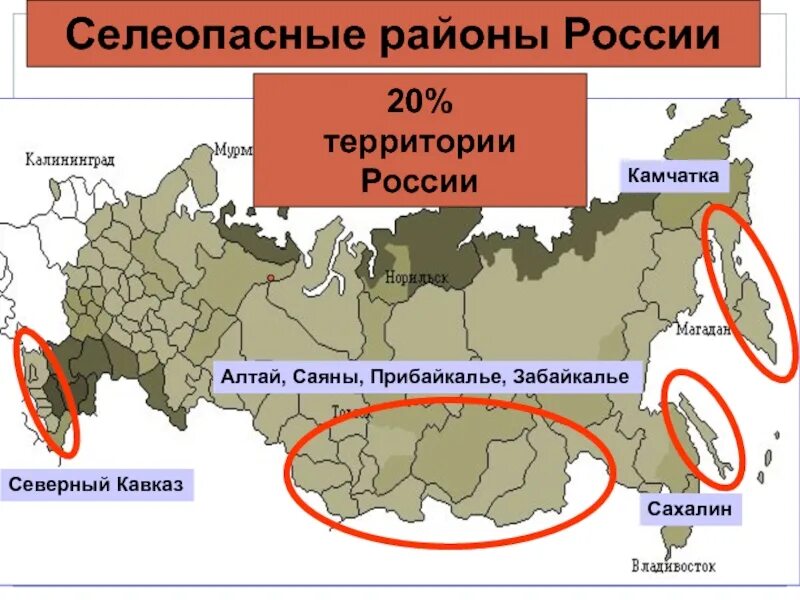 На какой территории в борьбе с. Селеопасные районы России. Селеопасные районы России на карте. Карта селей в России. Распространение оползней на территории РФ.