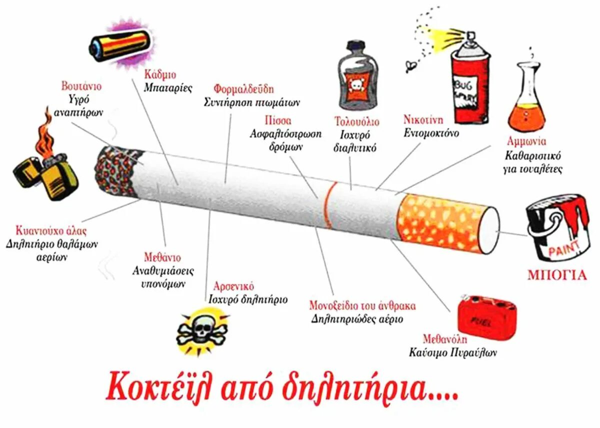 1.1 Состав табака и табачного дыма. Состав сигареты. Из чего состоит сигарета. Что будет если съесть сигарету