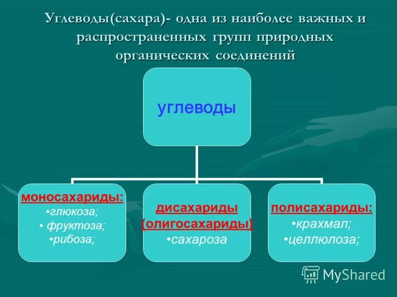 Группы природных органических веществ