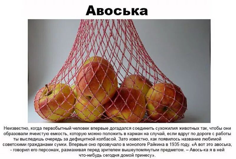 Дамская авоська. Авоська мем. Стихотворение про знайку. Авоська рисунок. Плюсы авосек.