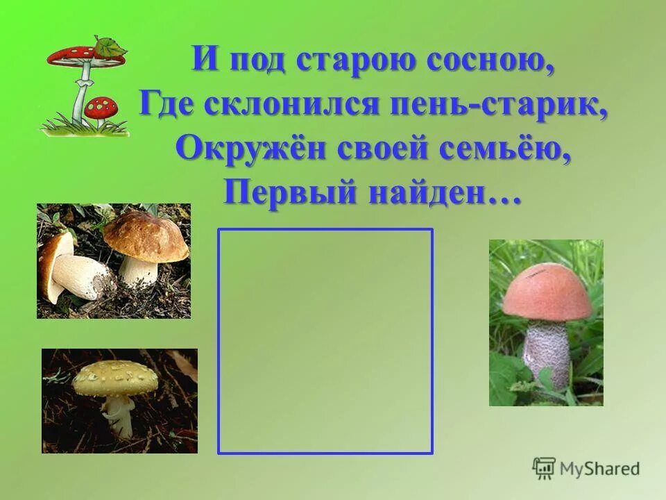как написать слово боровик правильно. бескова сказка про лесных. под старою сосной. под старою сосной. жзл: бесков.