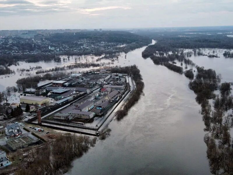 Брянск паводок. Паводок в Брянской области 2022. Разлив десны в Брянске 2022. Орлик разлив 2023 Брянск.