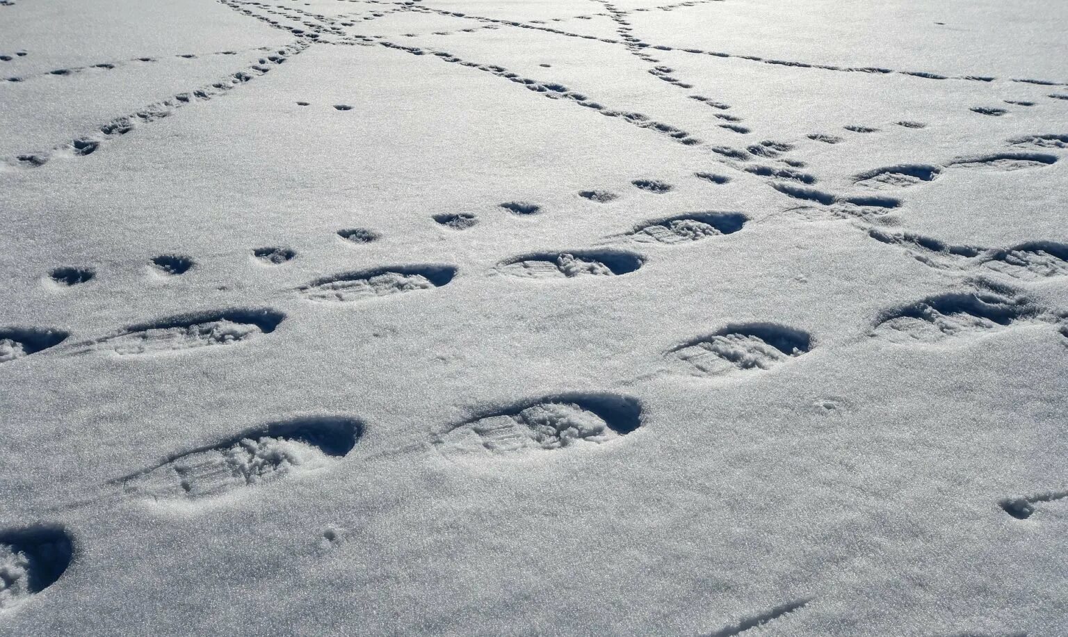 Следы в виде воды. Следы на снегу. Следы человека на снегу. Отпечаток на снегу. Дорожка следов на снегу.