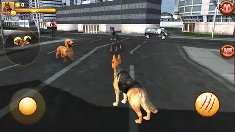 Игры на пса