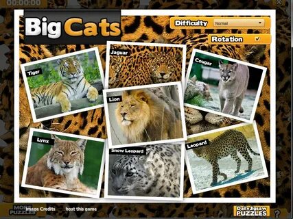 Big cats перевод на русский