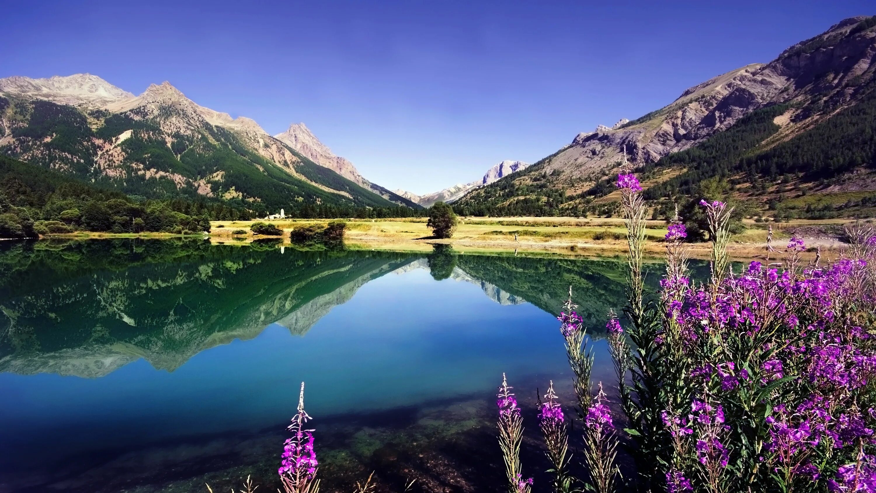 Природа горы озеро цветы. «Сады Европы» у озера Анси. Nature is beautiful