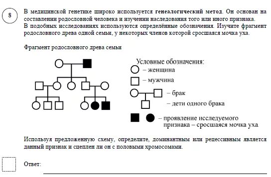 Фрагмент родословного древа семьи впр