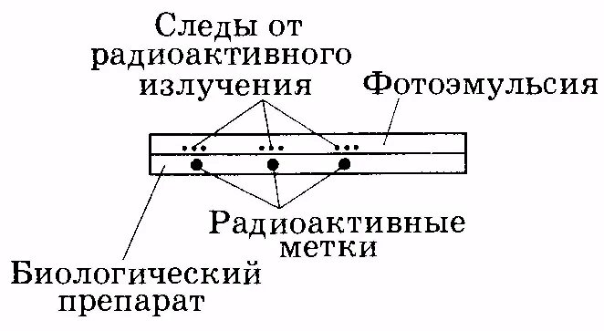 Принцип фотоэмульсии. Схема метода толстослойных фотоэмульсий. Толстослойные фотоэмульсии схема. Метод толстослойных фотоэмульсий схема устройства. Метод толстослойных эмульсий схема.