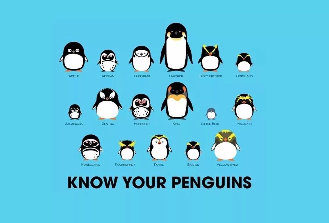 Крутой Пингвин. Пингвин программист. Крутые пингвинчики. Пингвин рисунок крутой. Пингвин перевод