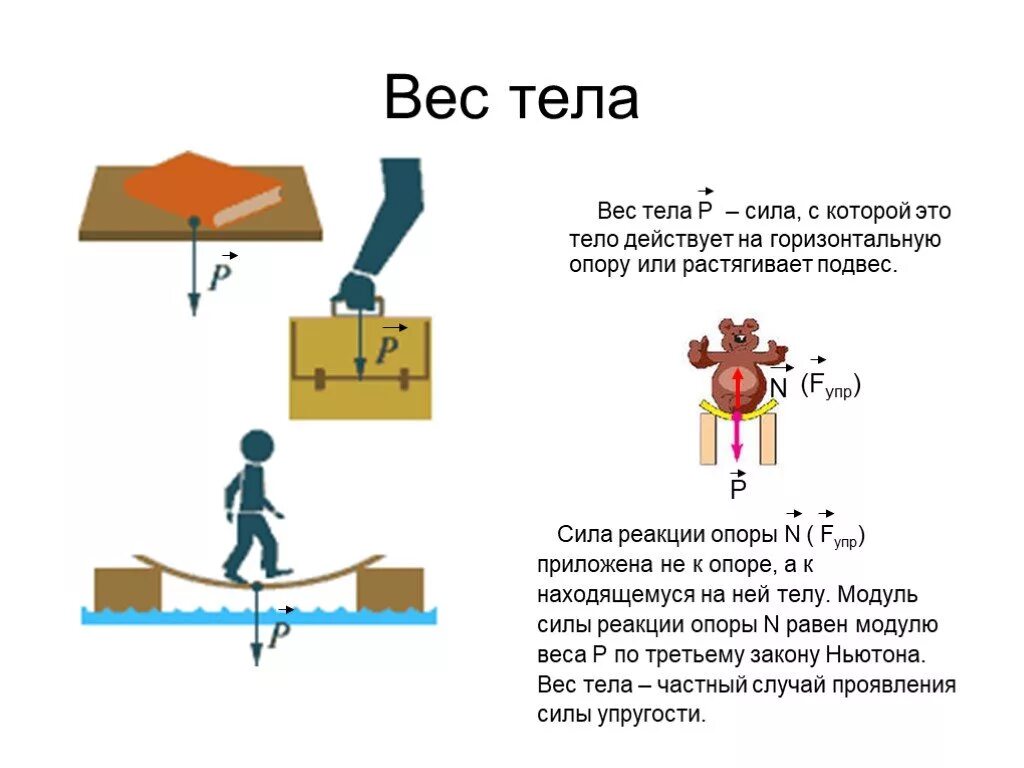 Вес тела изменение веса. Вес тела формула 7 кл физика. Примеры веса тела в физике. Примеры силы веса тела. Масса и вес тела физика 7 класс.