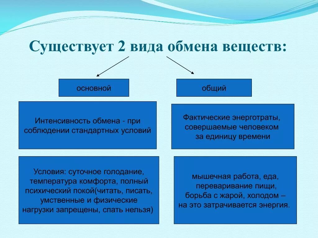 Виды обмена веществ. Основной и общий обмен веществ. Какой бывает обмен веществ. Виды обмена основной.