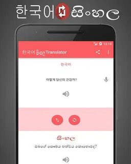 Translation 3