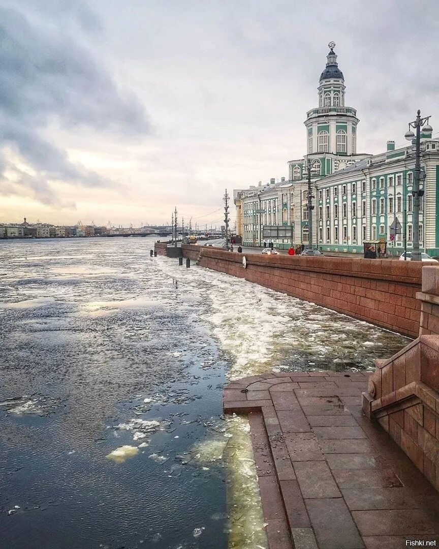 Спб реальные отзывы. Кунсткамера и Дворцовый мост. Питер мост Кунсткамера. Дворцовый мост вид на кунсткамеру. Утро в Петербурге.