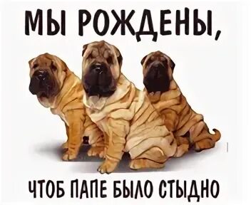Мы рождения чтоб
