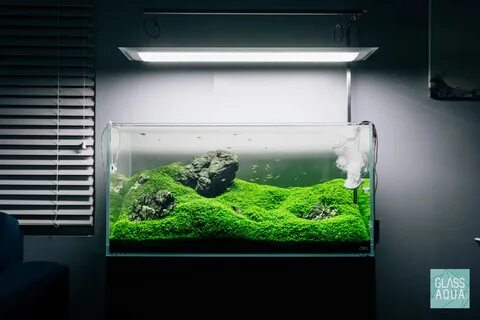 Ada tank 360